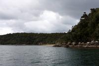 Ulva Island
