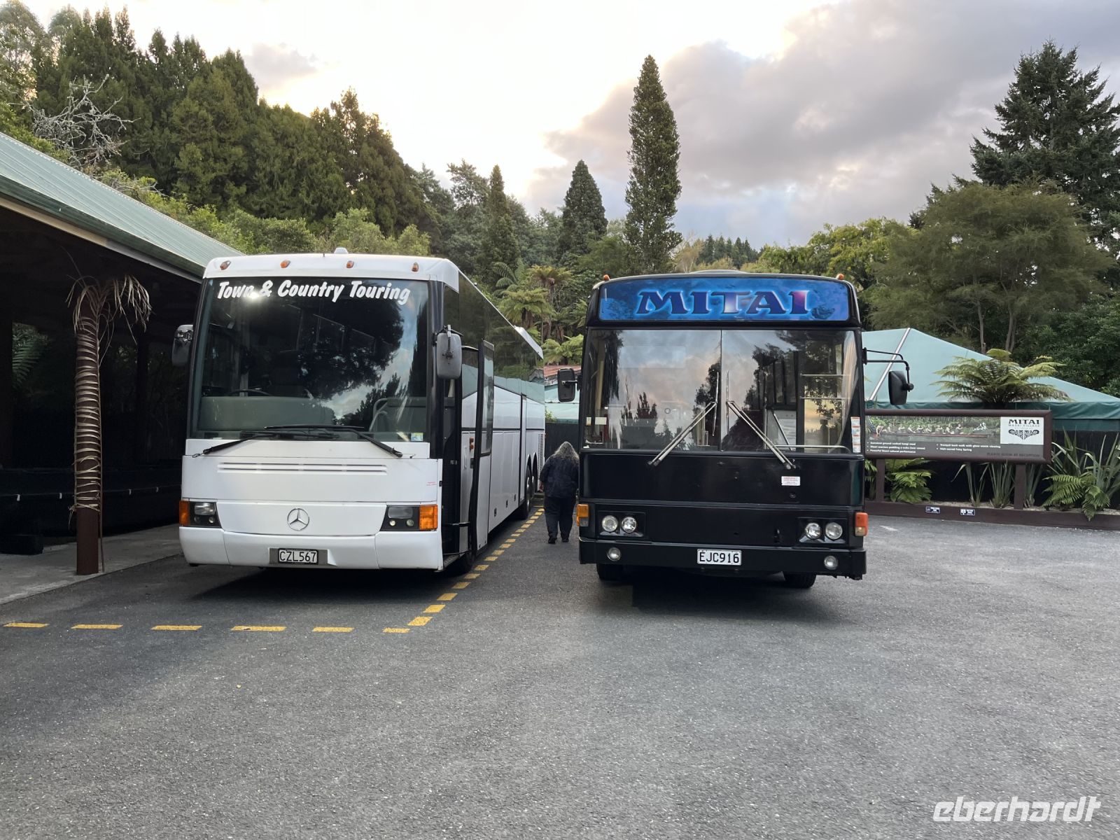 Unser Bus zum Maori Kulturabend