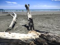 Unsere Mittagspause machen wir am Strand auf dem Weg nach Wellington