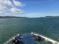 Verlassen des Hafen von Wellington