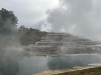 Wairakei Terrassen 