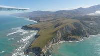 Walbeobachtungfsflug Kaikoura