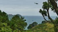 Wanderung Cathedral Cove, fliegende Toietten