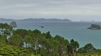 Wanderung Cathedral Cove