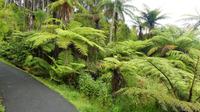 Wanderung Cathedral Cove