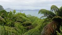 Wanderung Cathedral Cove