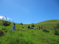 Wanderung Coromandel Walkway