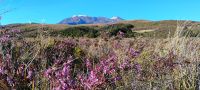 Wanderung zu den Tama Lakes