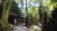 Wanderung zur Cathedral Cove