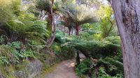 Wanderung zur Tepuketea Bay