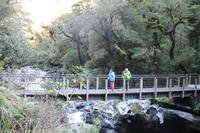 Wasserfall 