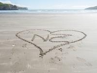 We love NZ!