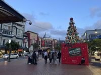 Wellington (9)