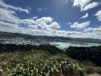 Wellington 