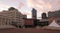 Wellington am Abend