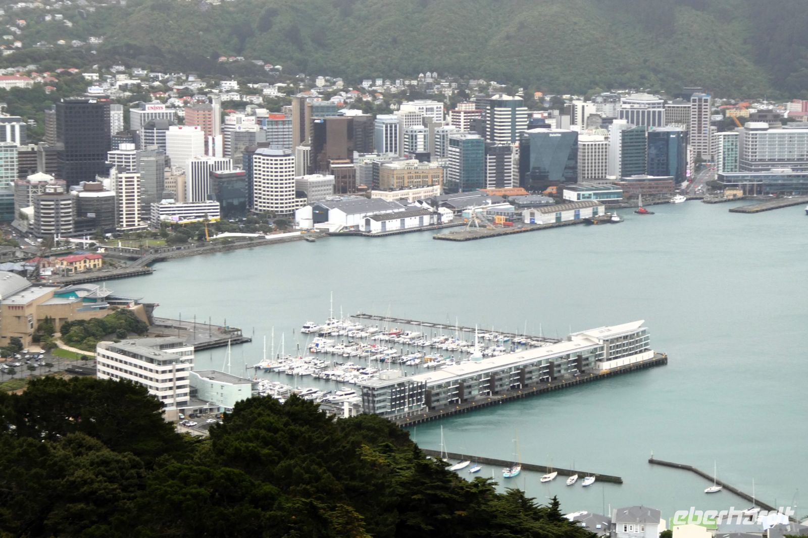 Wellington und die 