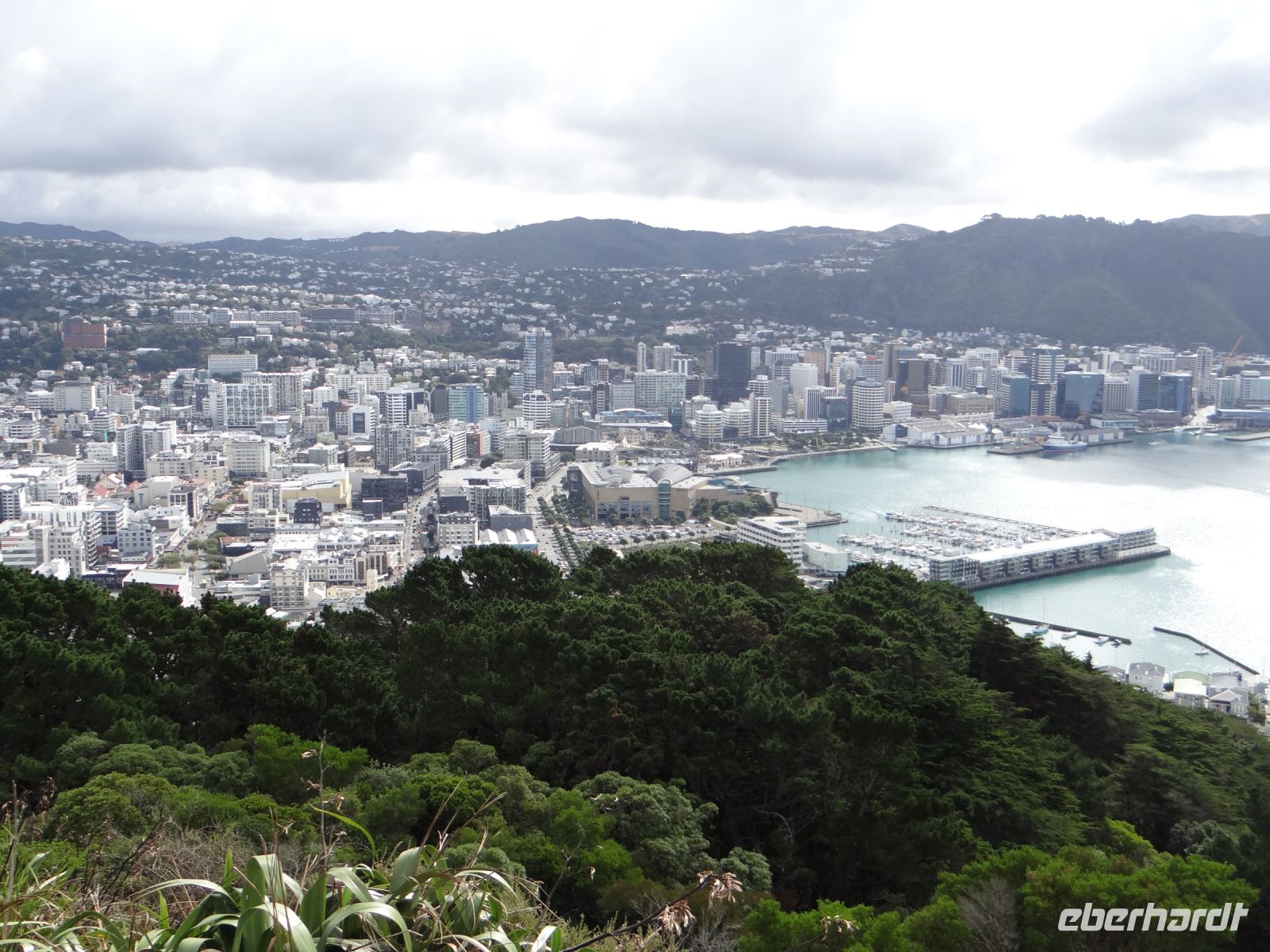 Wellington, Blick vom Mount Victoria auf die Stadt