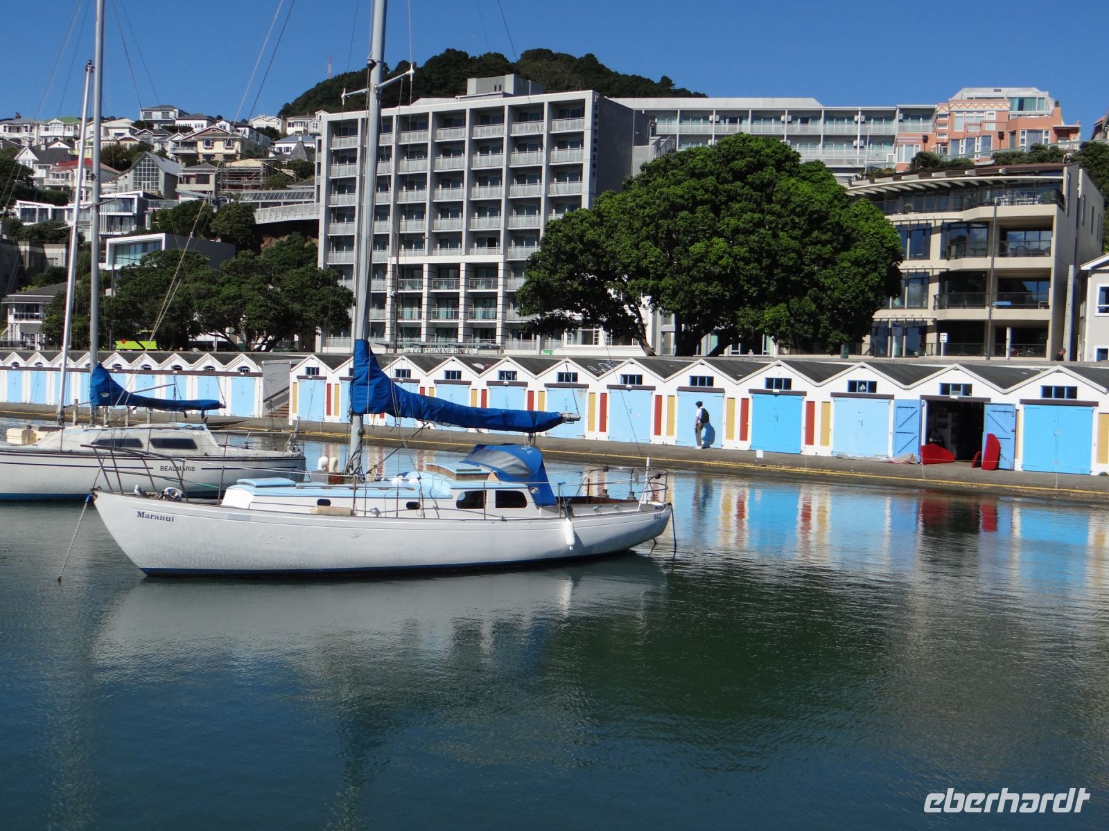 Wellington, hier parken die kleineren Boote.