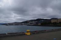 Wellington