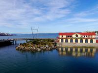 Wellington