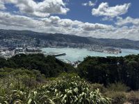 Wellington