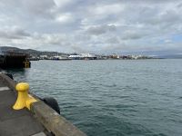 Wellington