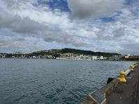 Wellington