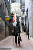 Wellington