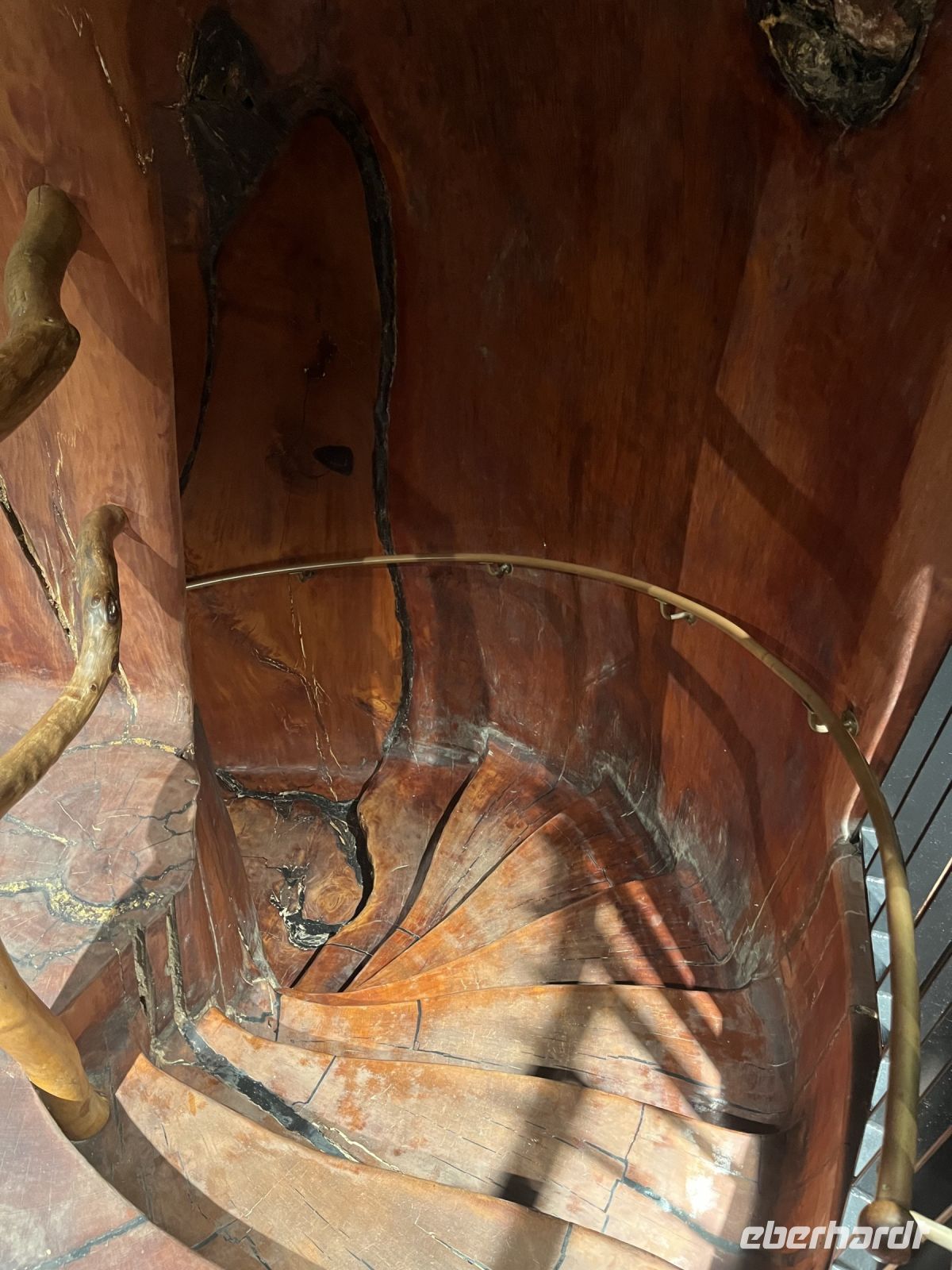 Wendeltreppe in Kauri-Baum