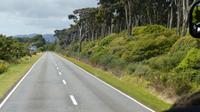 Westküste bei Haast