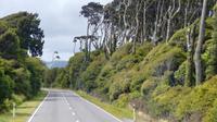 Westküste bei Haast