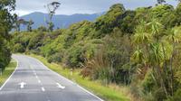 Westküste bei Haast