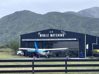 Whale Watching (5)