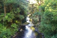 Whangarai