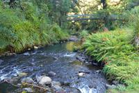 Whangarai