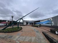 Whangarei (9)