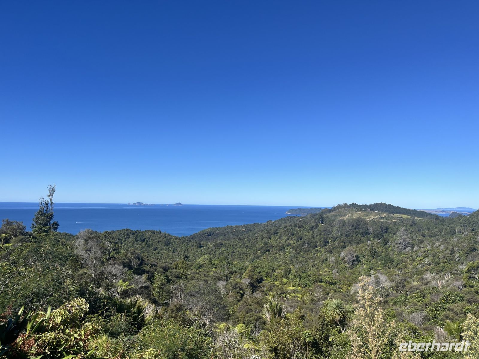 Whenuakite Kiwi Zone Aussichtspunkt