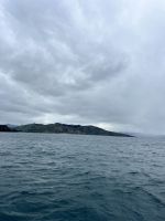Wildlife-Cruise