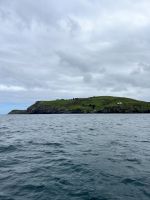 Wildlife-Cruise