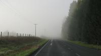 Wo ist der Weg?