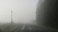 Wo ist der Weg?