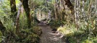 Zum ersten Stopp: Taranaki Wasserfall