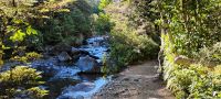 Zum ersten Stopp: Taranaki Wasserfall