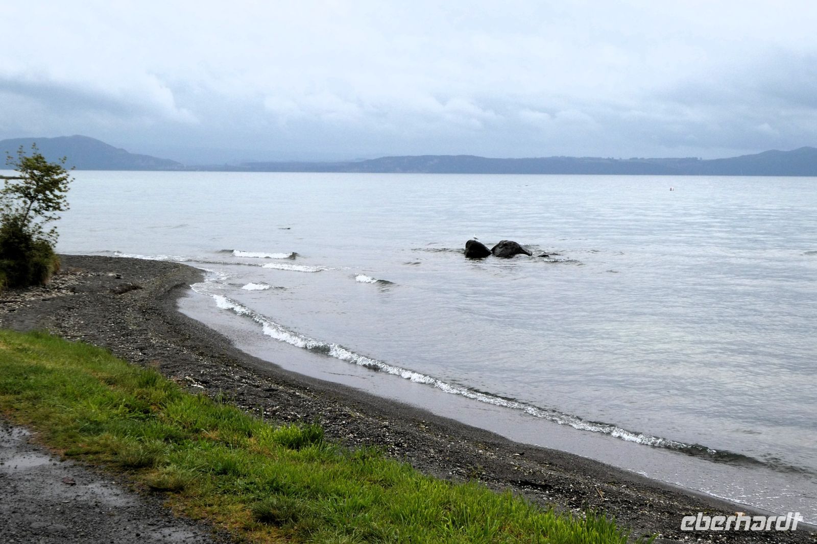 am Taupo-See