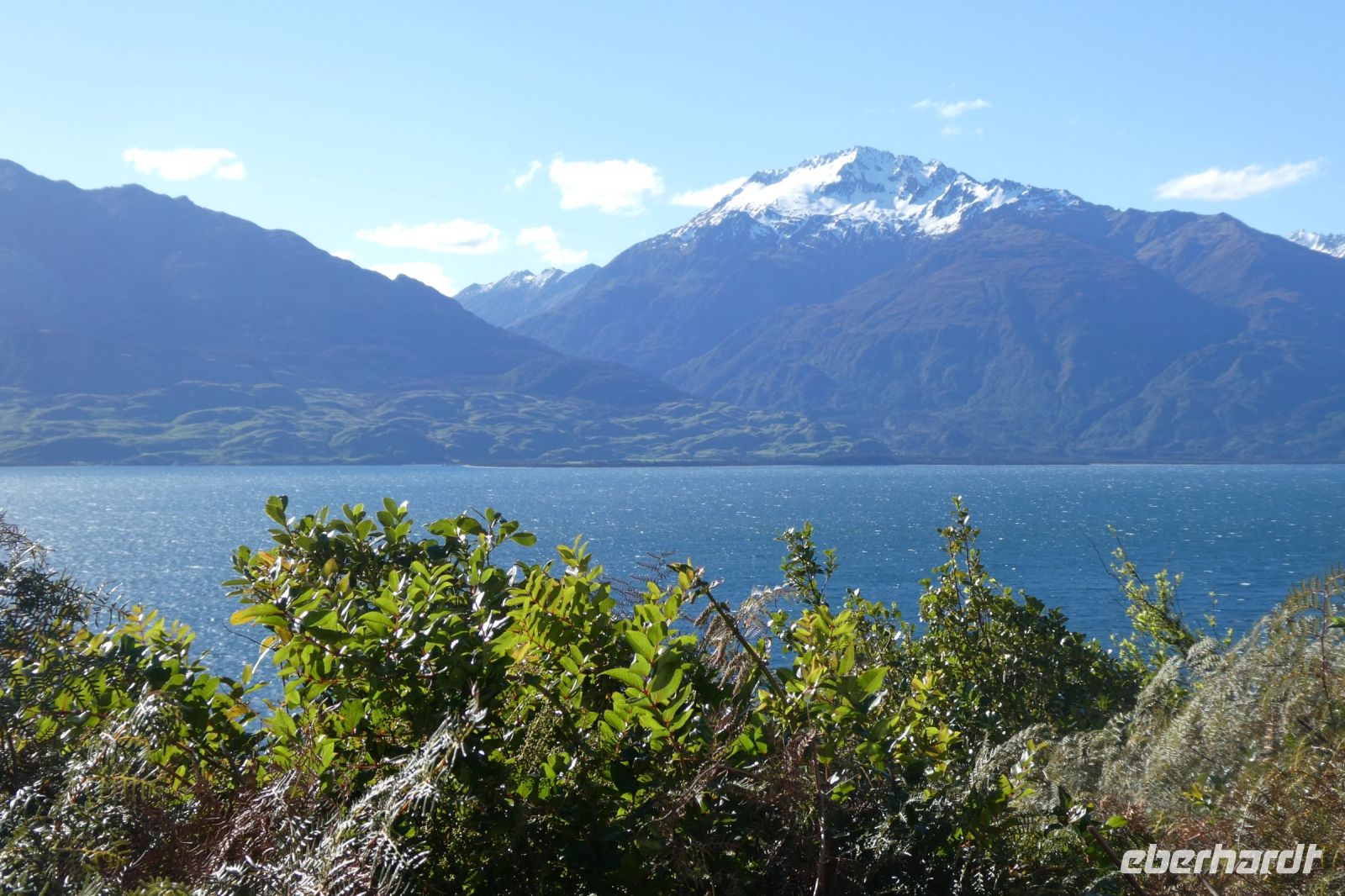 am Wanaka-See