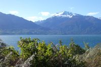 am Wanaka-See