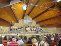 im Agrodome