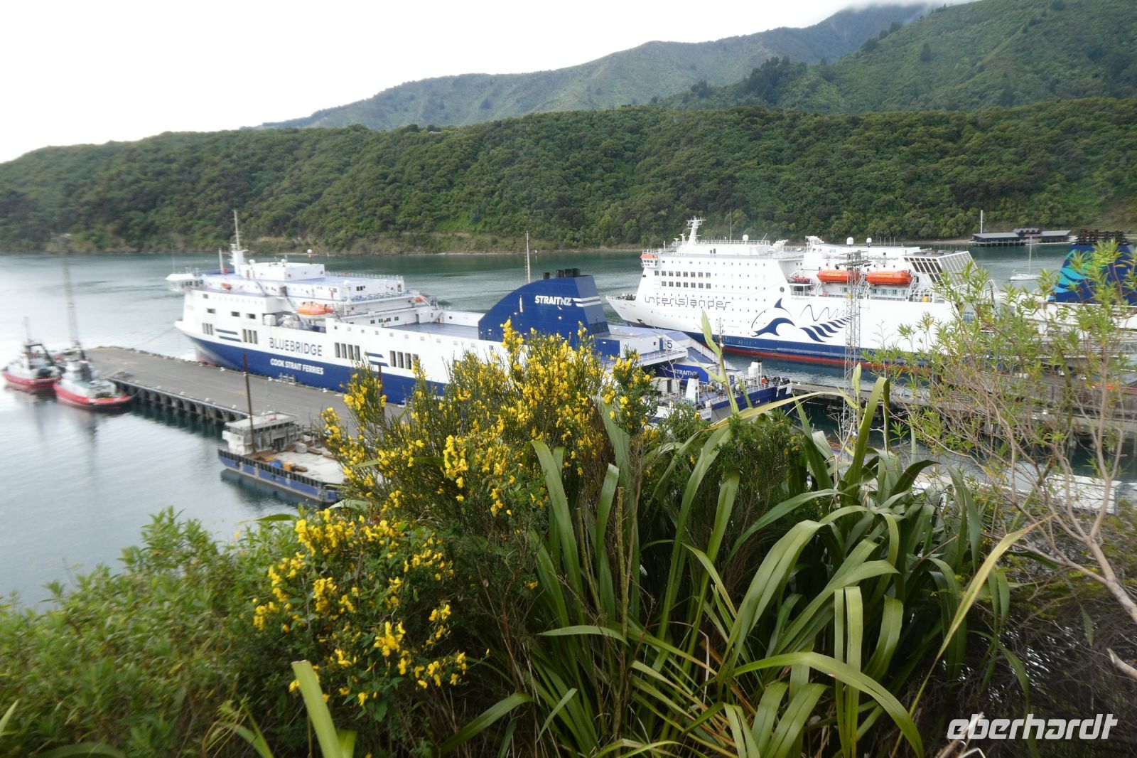 im Hafen von Picton
