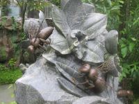 im Orchideenpark