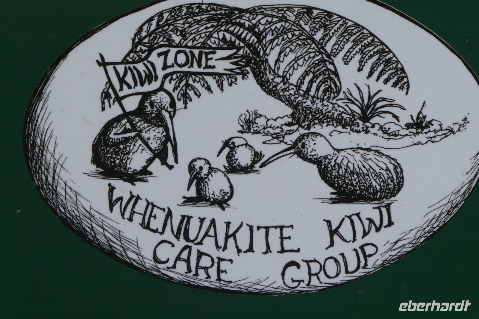 im Whenuakite-Park